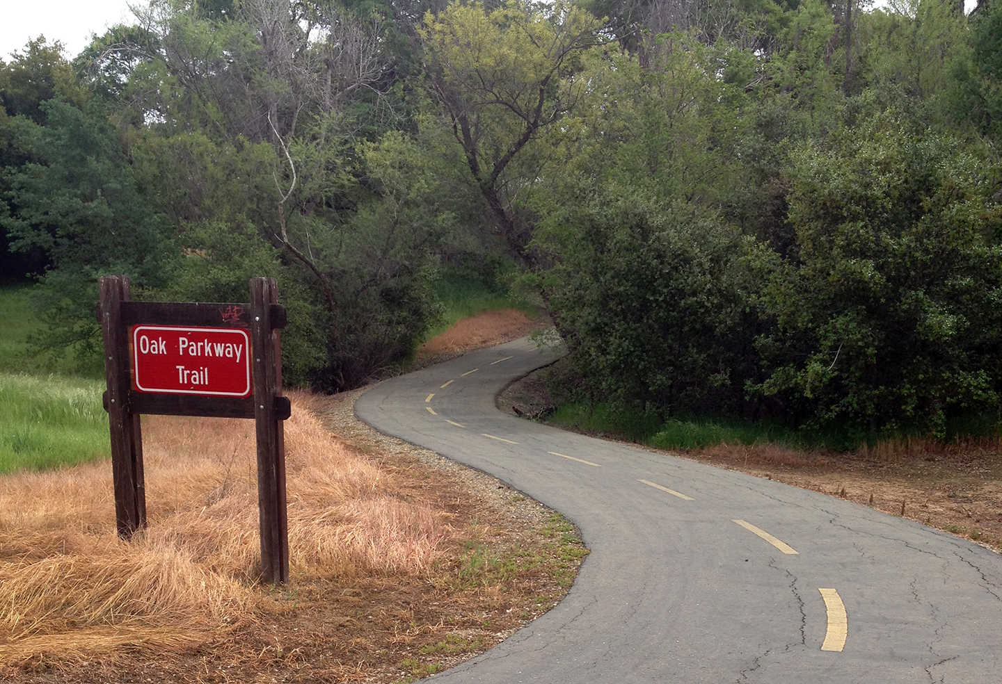 HELIX Provides Environmental Consulting for the Folsom Oak Parkway Trail Undercrossing Project