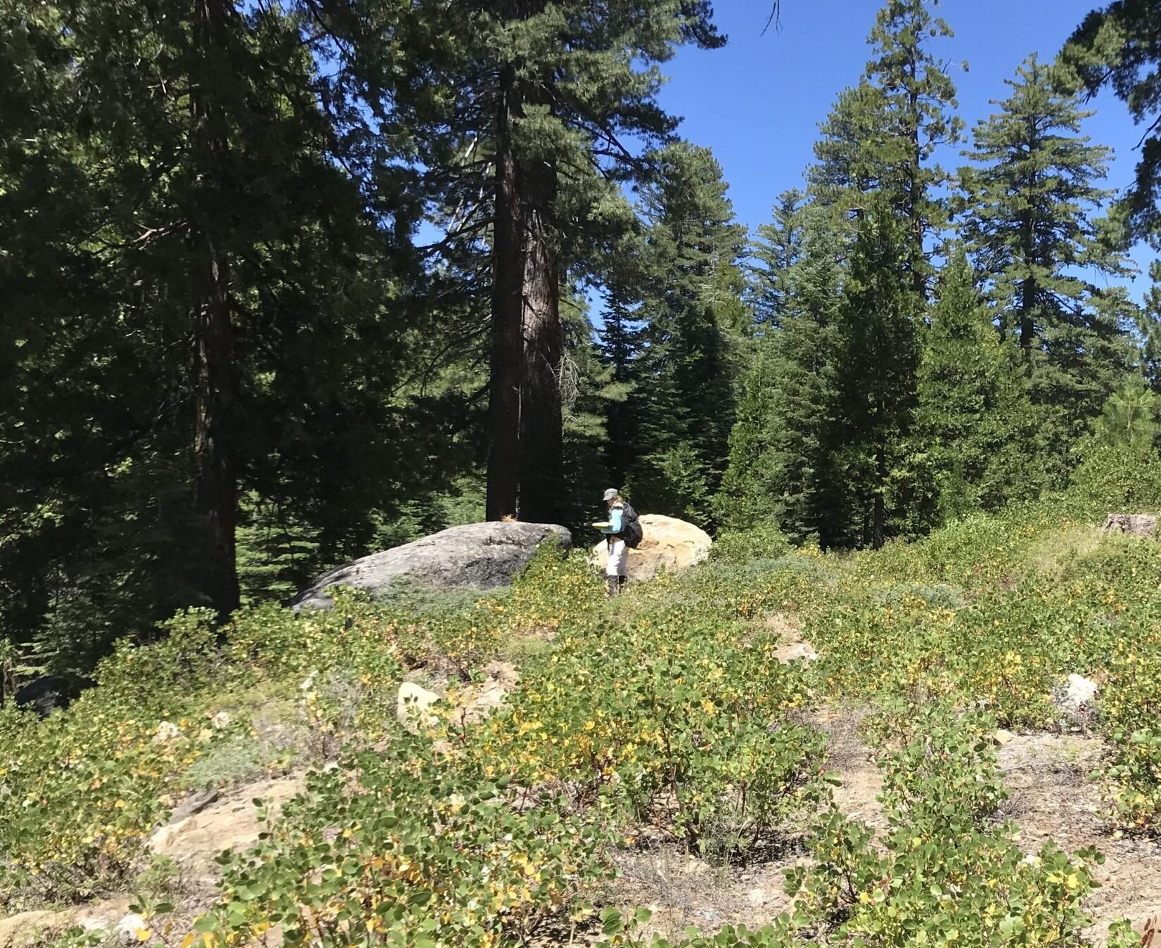 Tuolumne County On-Call Professional Archaeological Services for Forest Stewardship Program